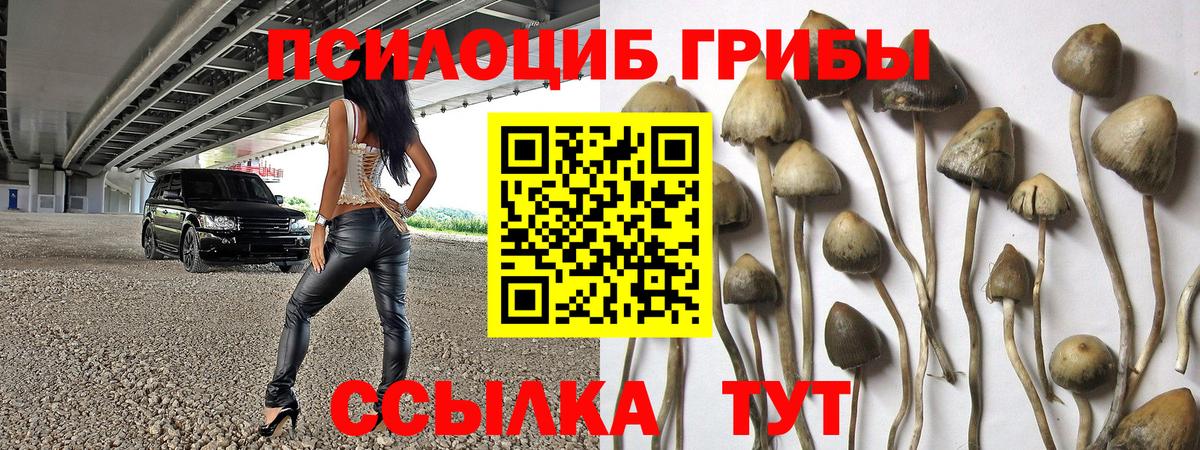 Псилоцибиновые грибы мицелий Кыштым